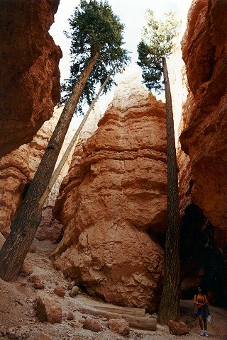 inside_bryce.jpg - Bryce Canyon - Utah - USA - August 1997