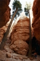 inside_bryce