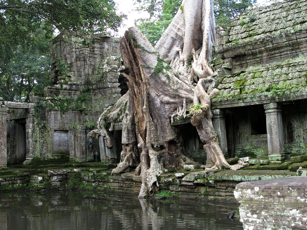 111021_IMG_2966.jpg - Angkor, Siem Reap, CAMBODIA - October 2011