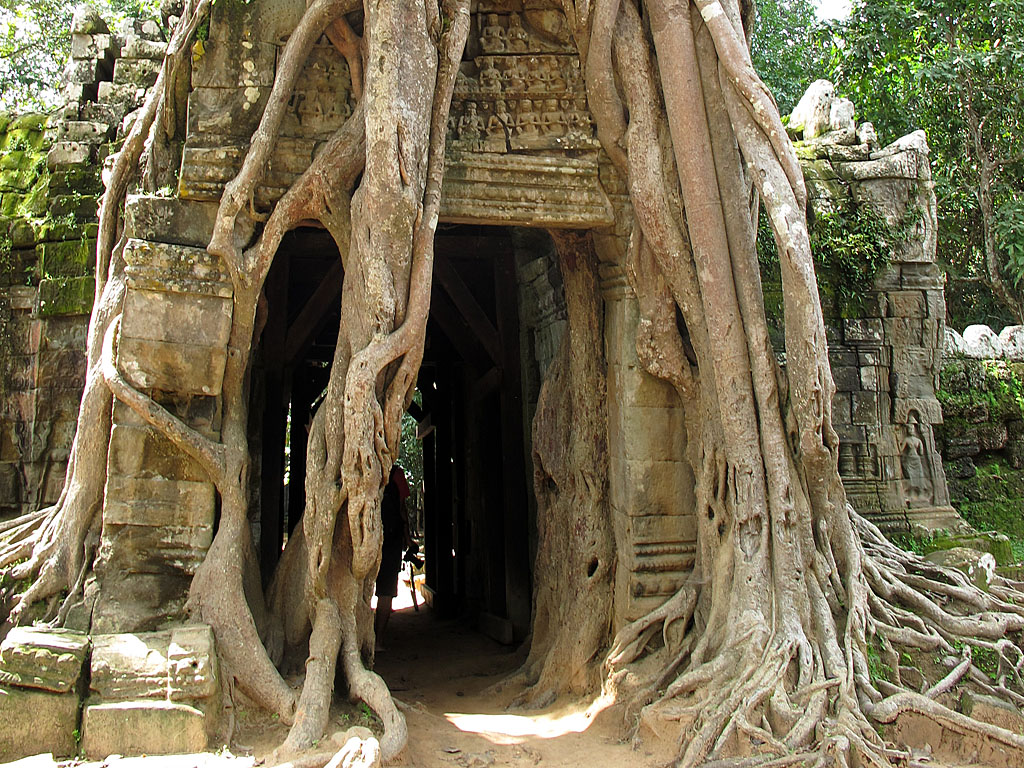 111021_IMG_3052.jpg - Angkor, Siem Reap, CAMBODIA - October 2011