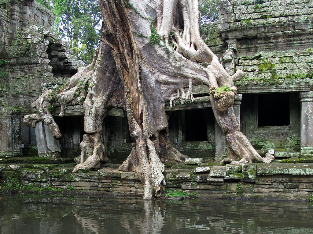 111022_IMG_2970.jpg - Angkor, Siem Reap, CAMBODIA - October 2011