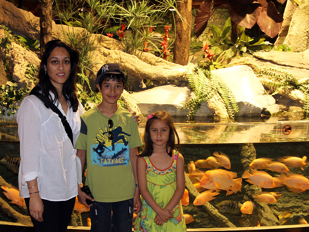 110711_IMG_4076.jpg - Dubai Aquarium - July 2011