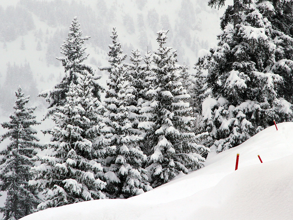111231_IMG_0213.jpg - Courcheval, France - January 2012