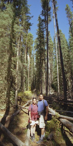 by_johnston_canyon.jpg - Johnston Canyon - Banff - Canada - Sept 2001